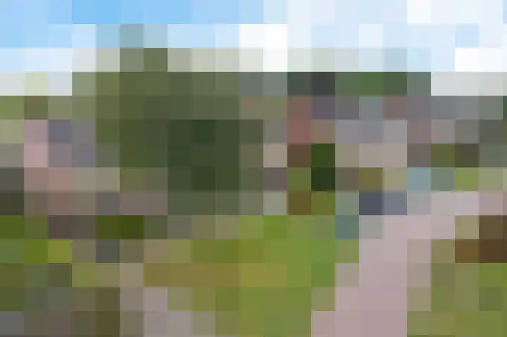 Hoxma 54 Grou thumbnail 31