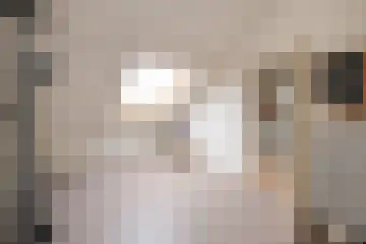 Hoxwier 1 Almelo thumbnail 18