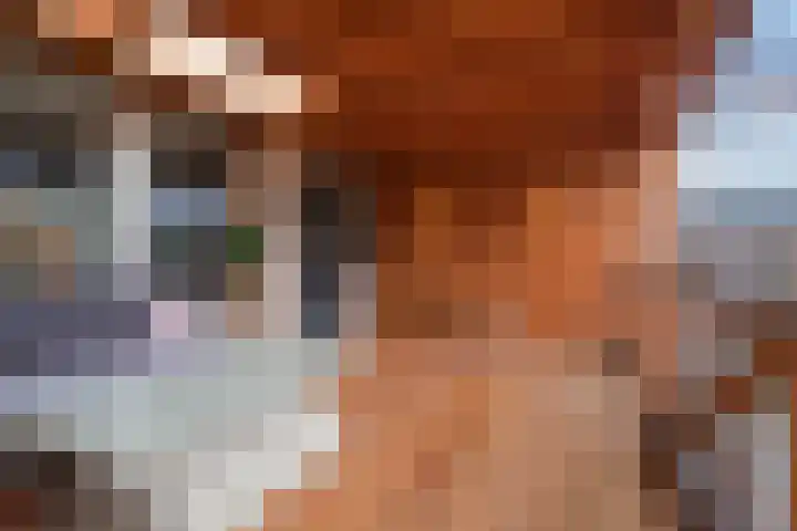 Hoxwier 1 Almelo thumbnail 21