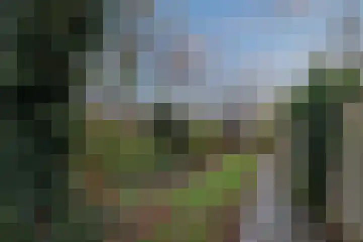 Hoxwier 1 Almelo thumbnail 25
