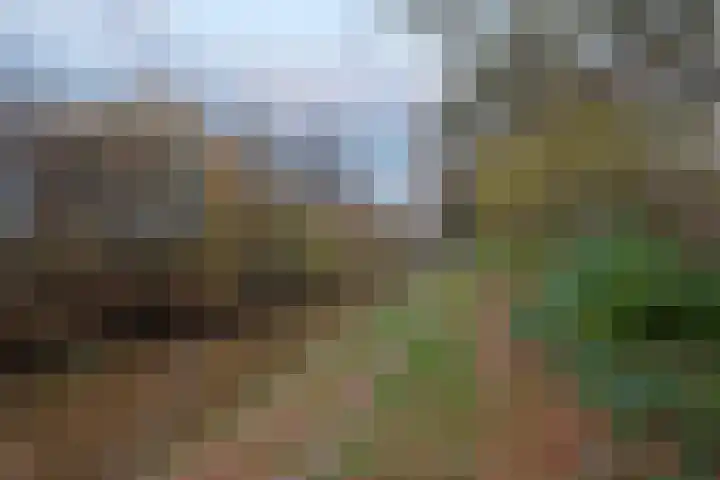 Hoxwier 1 Almelo thumbnail 26