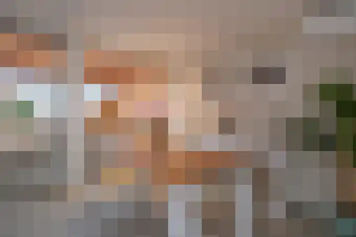 Hoxwier 1 Almelo thumbnail 8