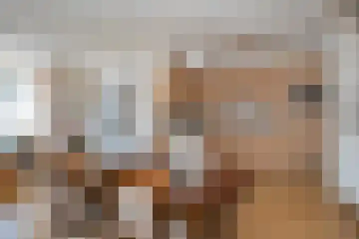 Hubertushof 8 Born thumbnail 11