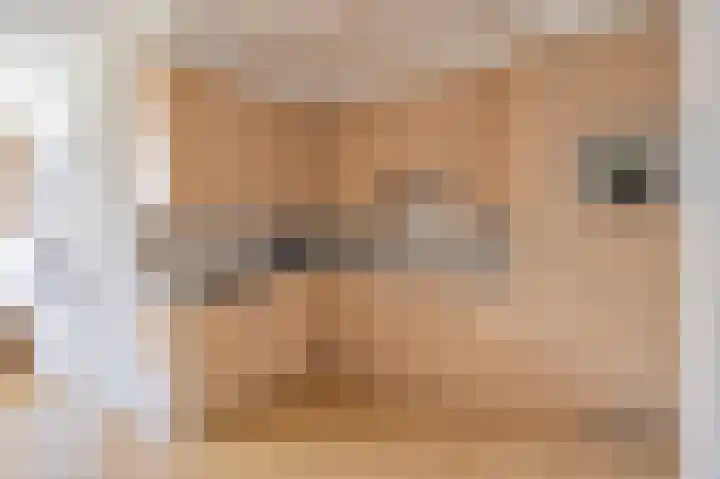 Hubertushof 8 Born thumbnail 12