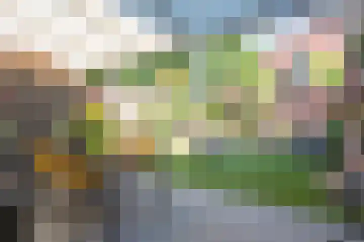 Hubertushof 8 Born thumbnail 16