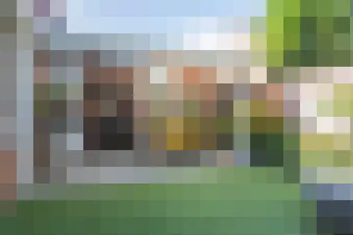 Hubertushof 8 Born thumbnail 17
