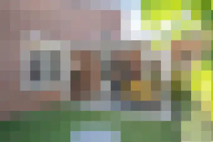 Hubertushof 8 Born thumbnail 18