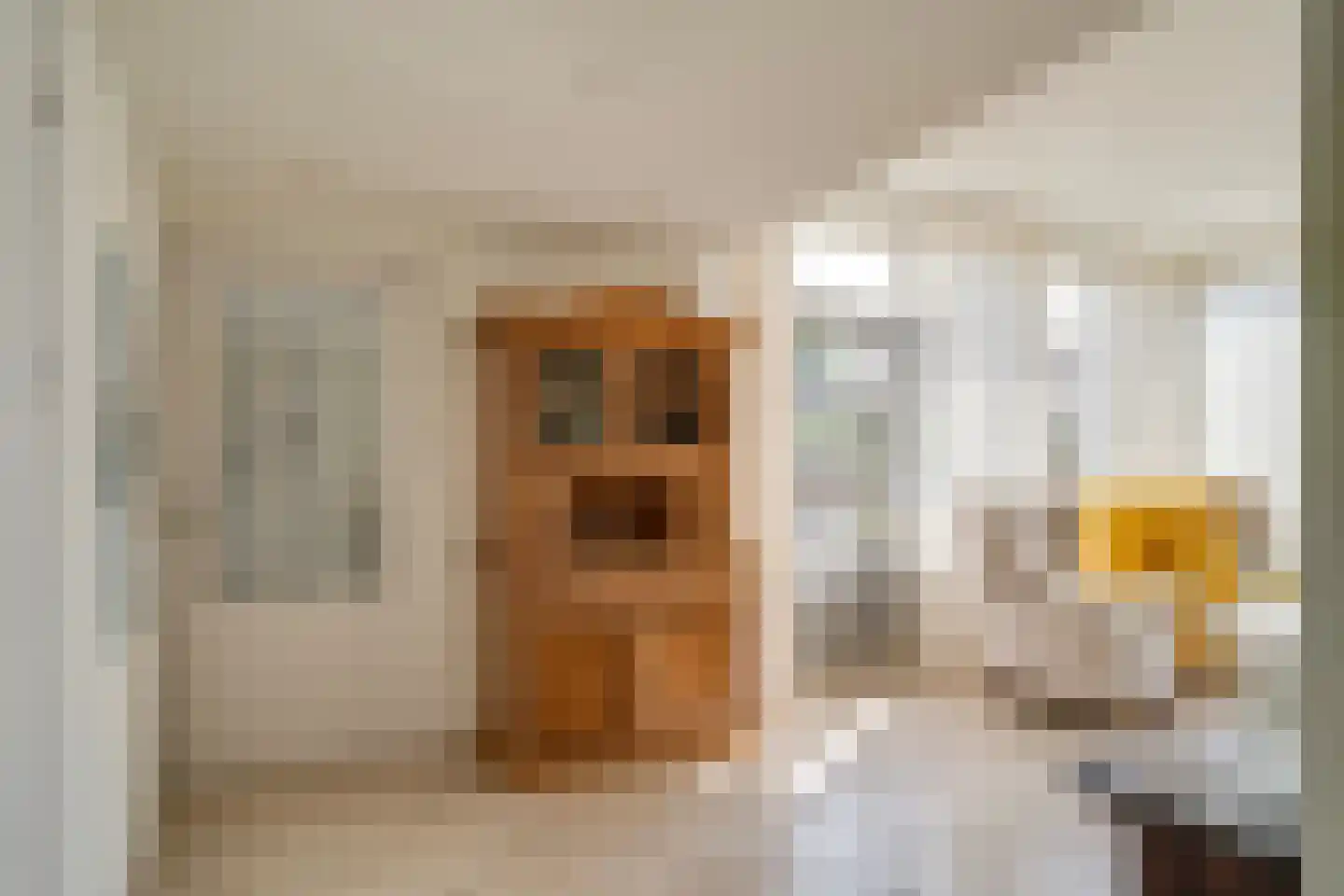 Hubertusstraat 25 Beek thumbnail 10