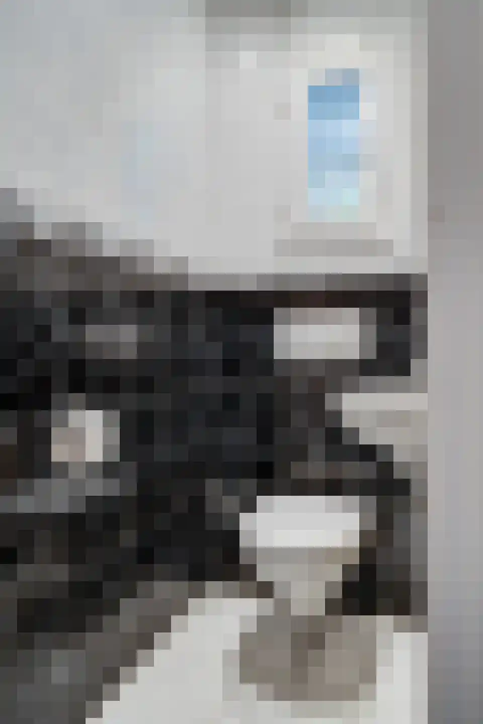 Hubertusstraat 25 Beek thumbnail 4