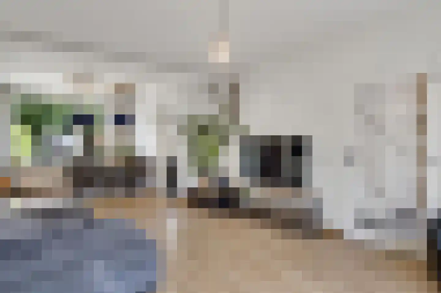 Hubertusstraat 77 Echt thumbnail 10