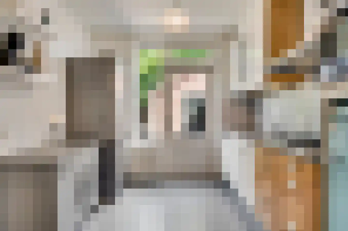 Hubertusstraat 77 Echt thumbnail 16