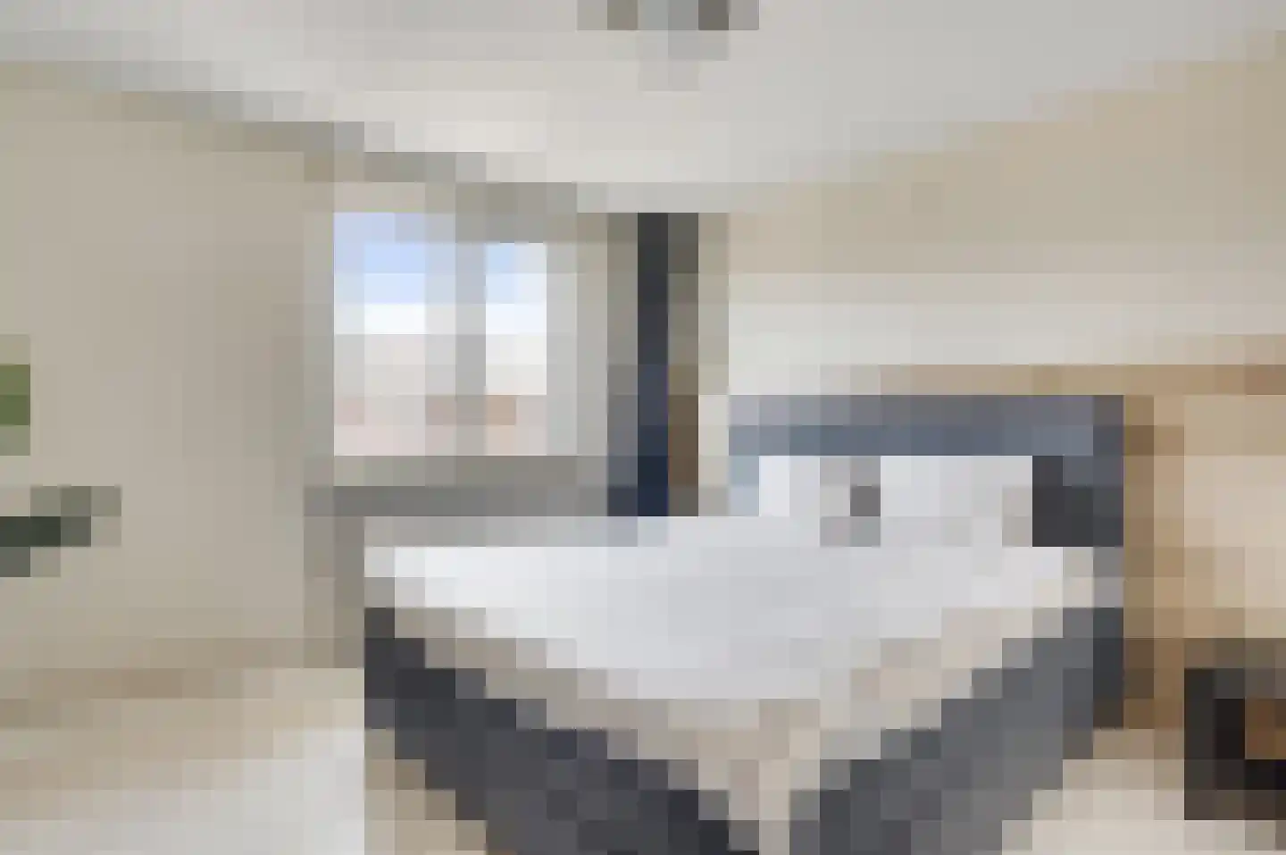 Hubertusstraat 77 Echt thumbnail 20