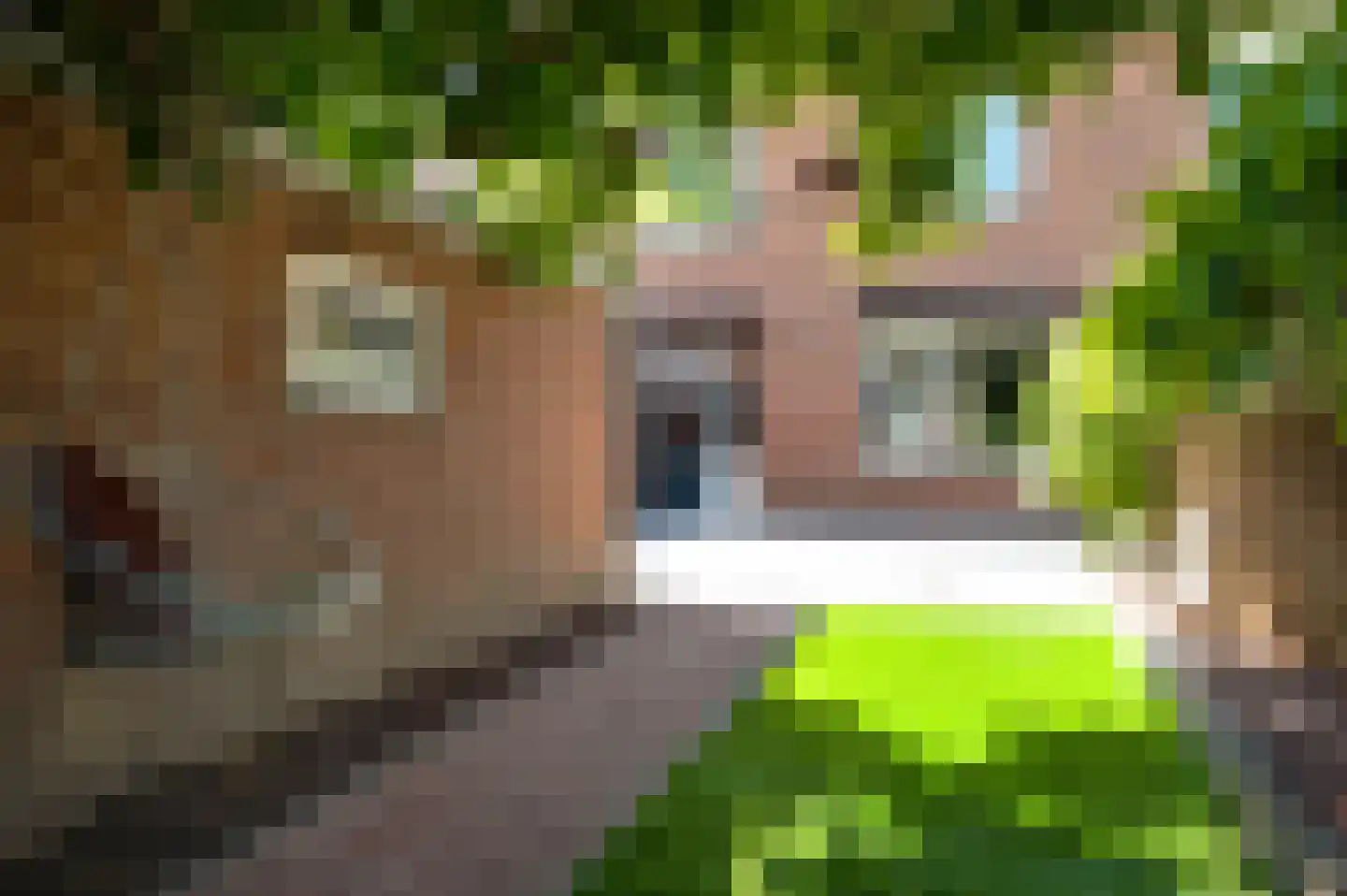 Hubertusstraat 77 Echt thumbnail 33