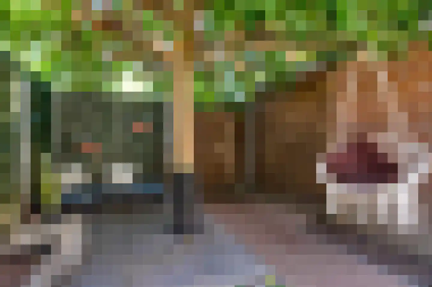 Hubertusstraat 77 Echt thumbnail 4