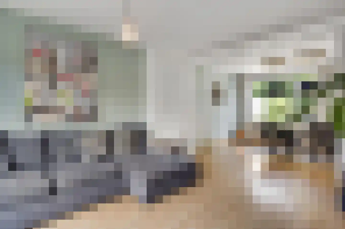 Hubertusstraat 77 Echt thumbnail 9
