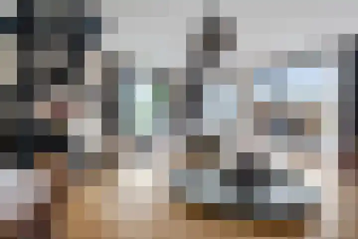 Hudson 31 Den Haag thumbnail 8