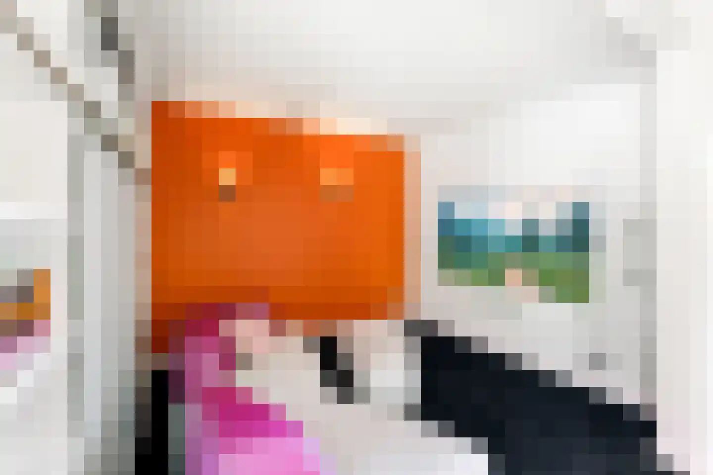 Hudsonlaan 9 Hulst thumbnail 11