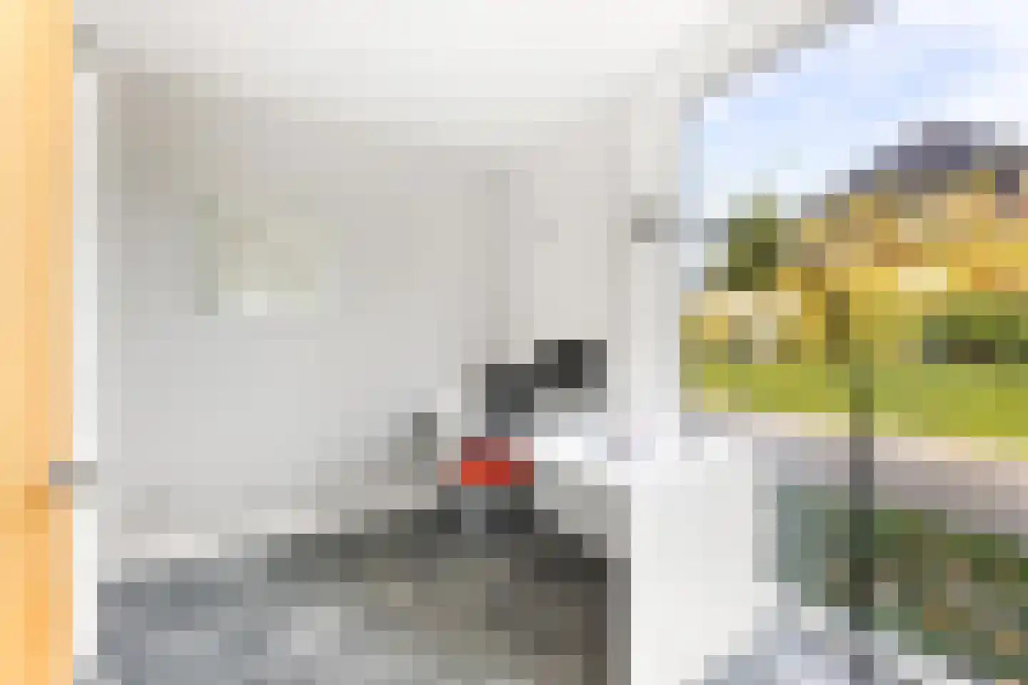 Hudsonlaan 9 Hulst thumbnail 8
