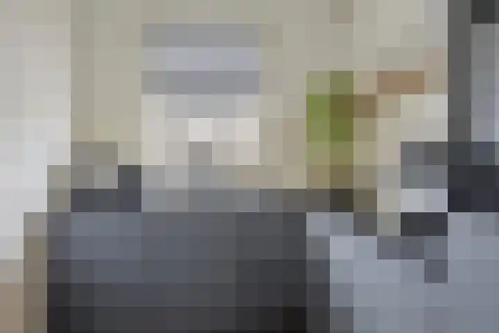 Hudsonring 1 Drunen thumbnail 13