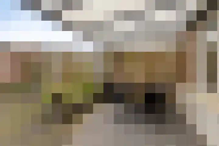 Hudsonring 1 Drunen thumbnail 28