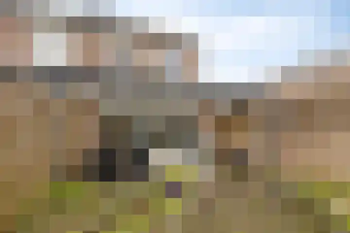 Hudsonring 1 Drunen thumbnail 30
