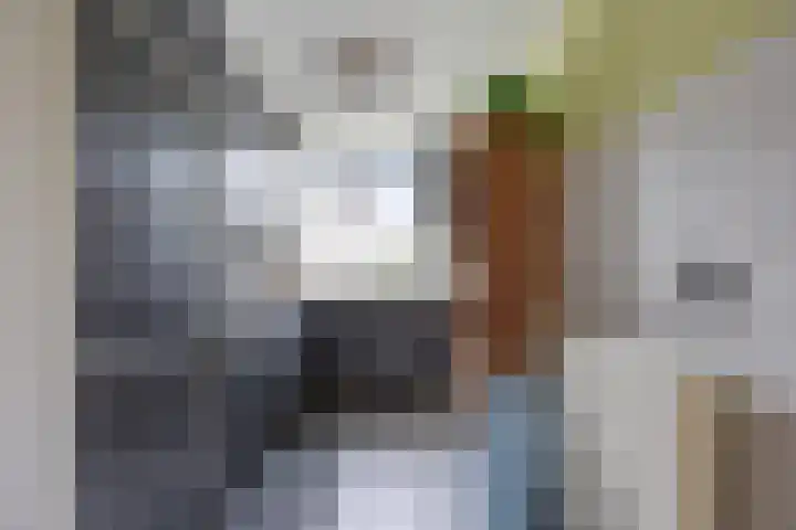 Hudsonring 59 Drunen thumbnail 10