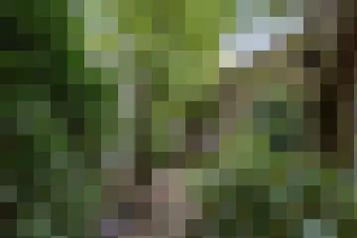 Hudsonring 59 Drunen thumbnail 25
