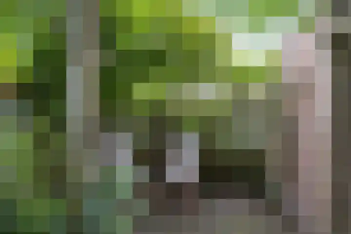 Hudsonring 59 Drunen thumbnail 26