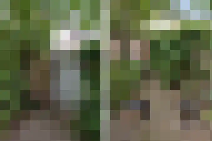 Hudsonring 59 Drunen thumbnail 27