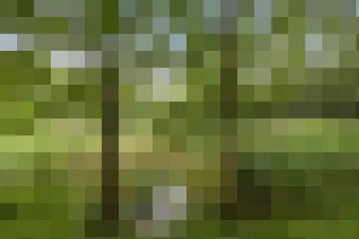 Hudsonring 59 Drunen thumbnail 34