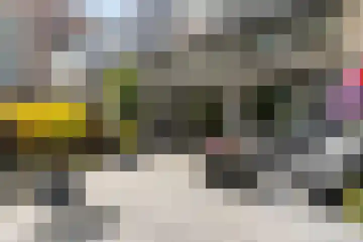 Hudsonstraat 37 Purmerend thumbnail 33