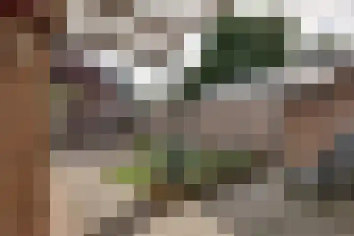 Hudsonstraat 56 Arnhem thumbnail 42