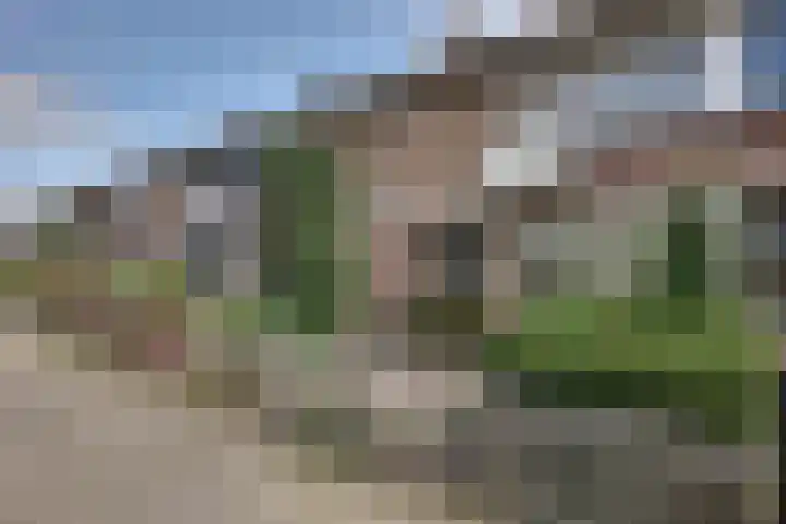 Hudsonstraat 56 Arnhem thumbnail 6