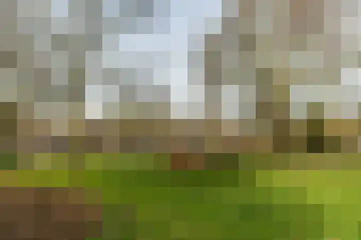 Hugo de Grootkade 36 1 Amsterdam thumbnail 27