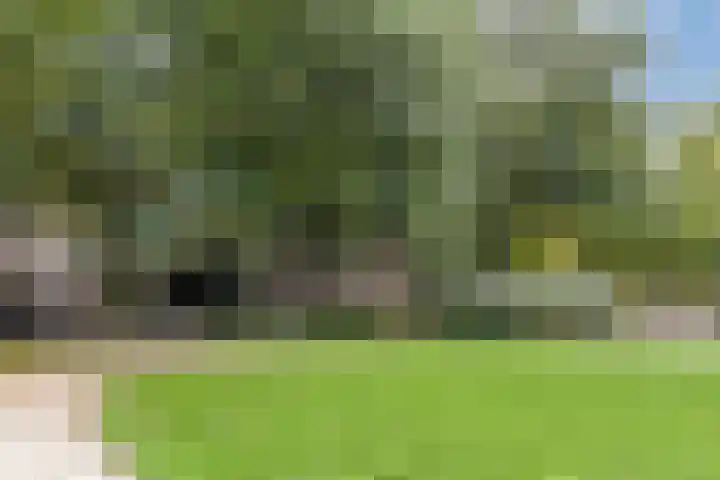 Hugo de Grootkade 48 H Amsterdam thumbnail 33