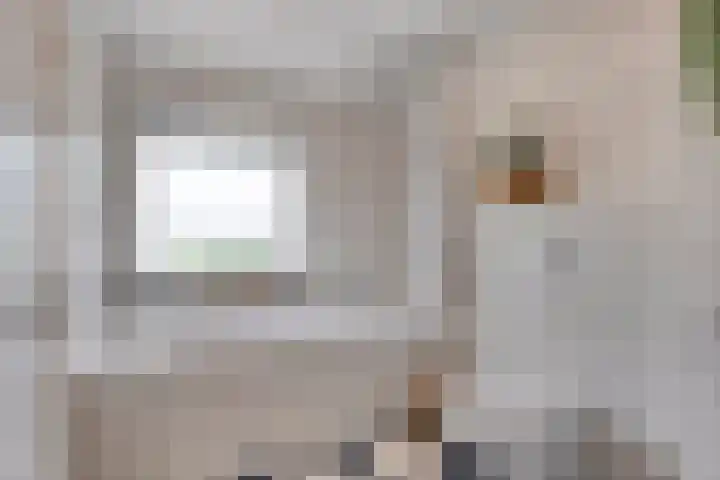 Hugo de Grootstraat 10 Arnhem thumbnail 23