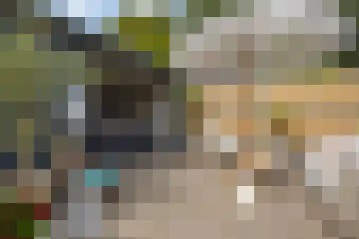 Hugo de Grootstraat 10 Arnhem thumbnail 31
