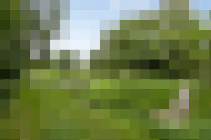 Hugo de Grootstraat 10 Arnhem thumbnail 39