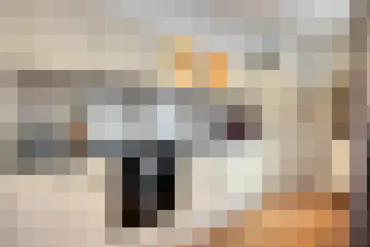 Hugo de Grootstraat 12 Arnhem thumbnail 15