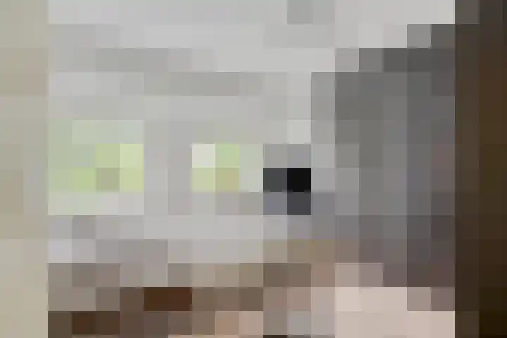 Hugo de Grootstraat 12 Arnhem thumbnail 18