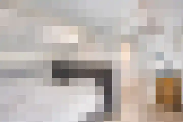 Hugo de Grootstraat 12 Arnhem thumbnail 27