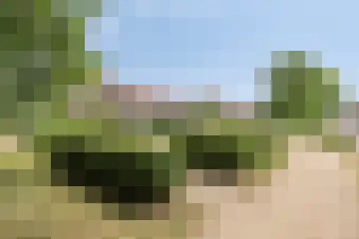 Hugo de Grootstraat 12 Arnhem thumbnail 32