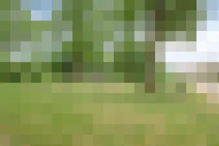 Hugo de Grootstraat 12 Arnhem thumbnail 33