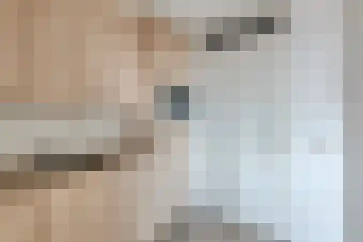 Hugo de Grootstraat 124 Drunen thumbnail 17
