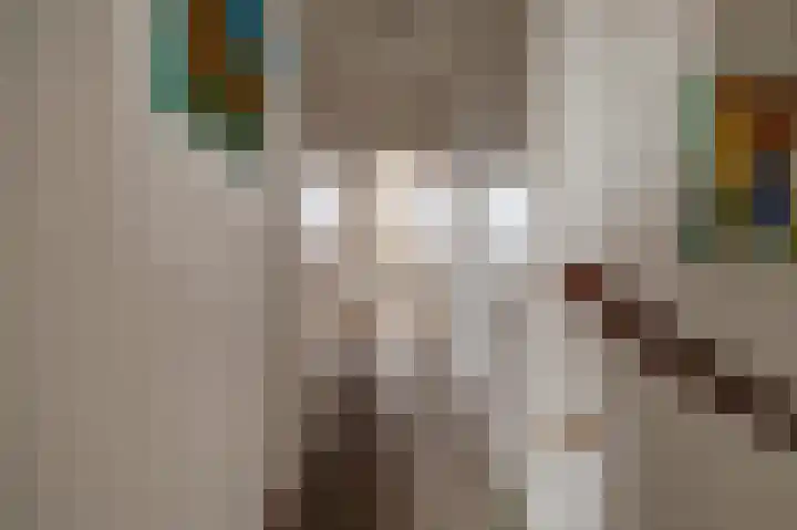 Hugo de Grootstraat 23 Drunen thumbnail 26