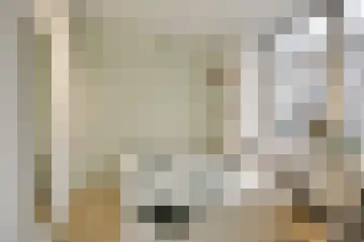 Hugo de Grootstraat 262 Delft thumbnail 5