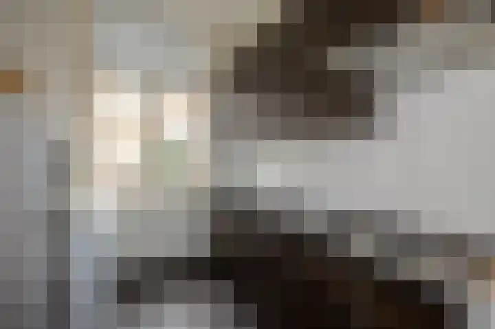 Hugo de Grootstraat 76 Den Haag thumbnail 9
