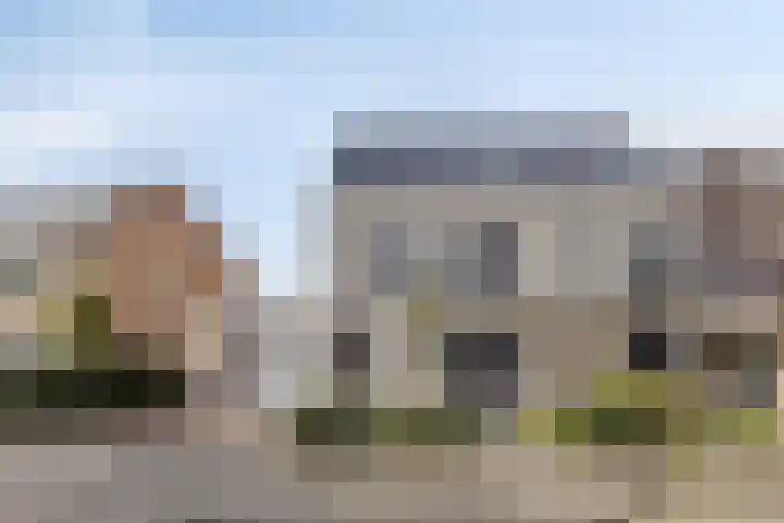 Huis te Veldelaan 65 in Maasland