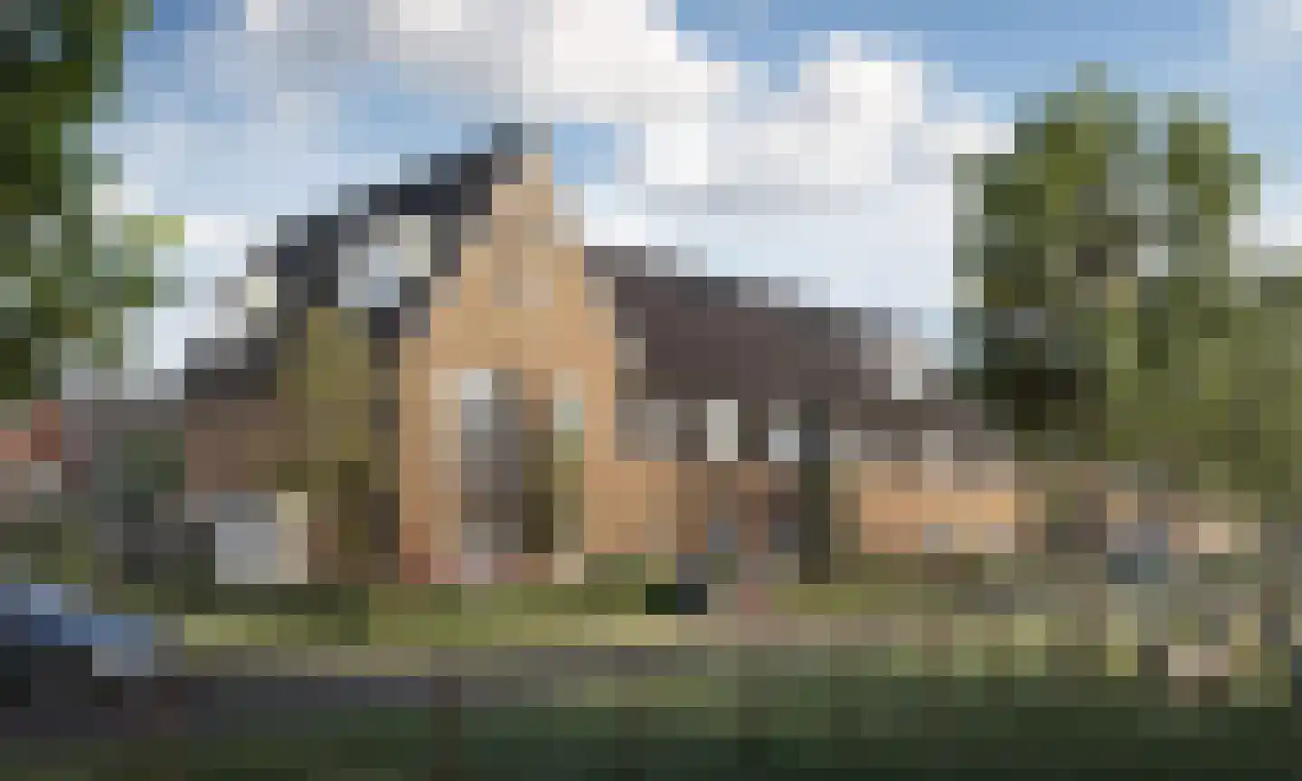 Huis te Vliethof 22 in Lopikerkapel
