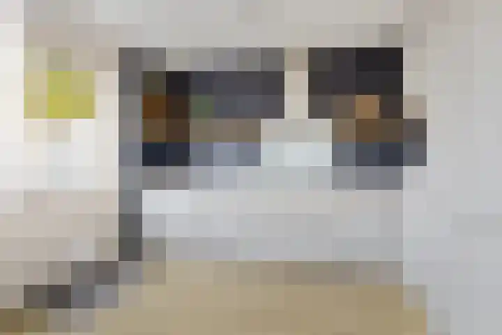 Huisakker 4 Bavel thumbnail 13